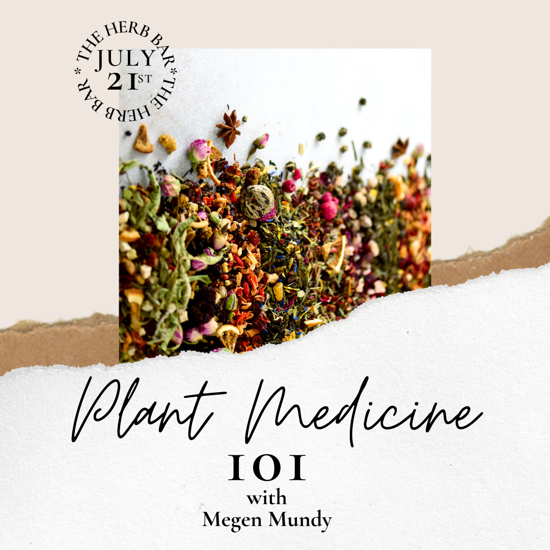 Introductory Herbalism Class in Austin, TX Learn Herbal Medicine at