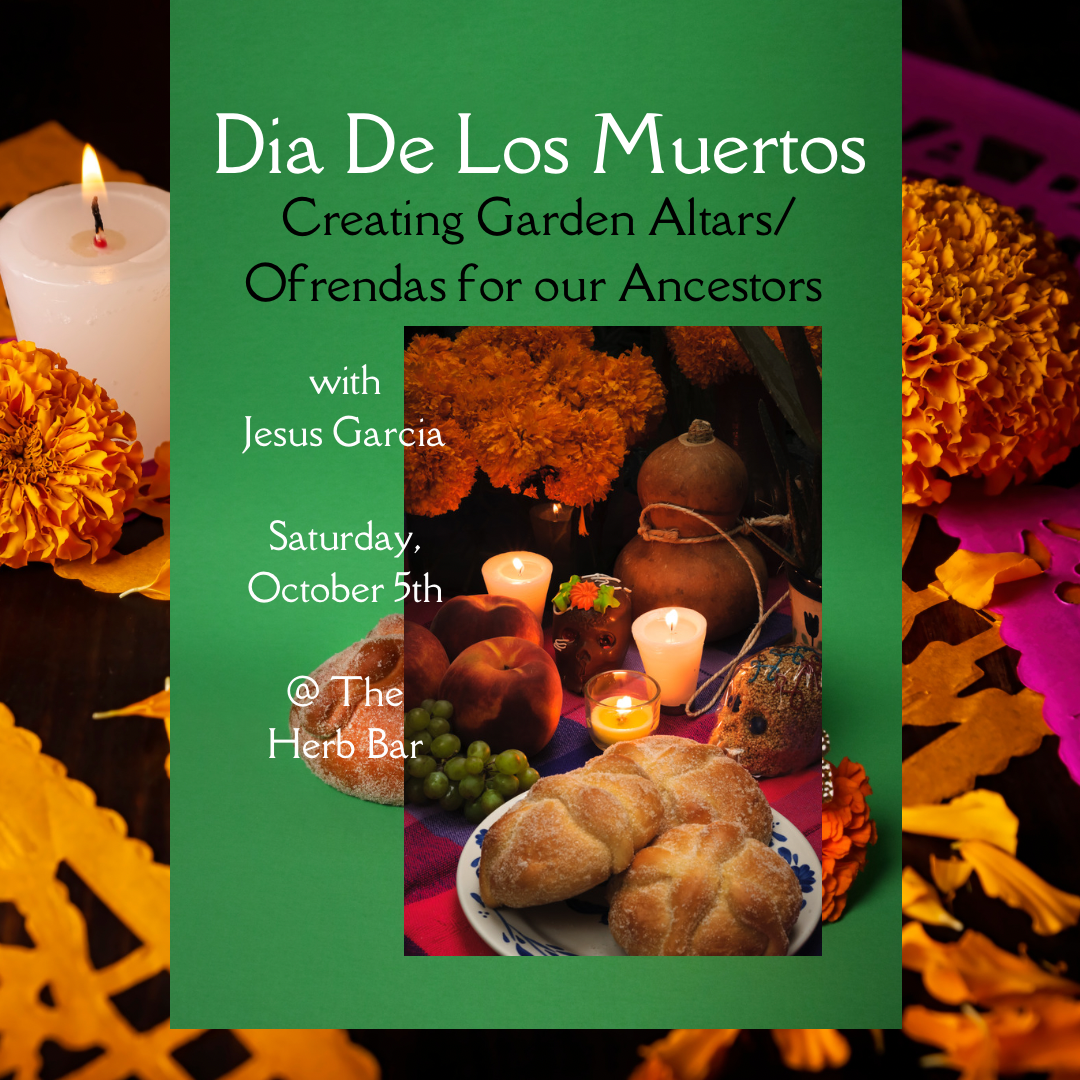 Creating a Garden Altar/ Ofrenda for our Ancestors for Dia De Los